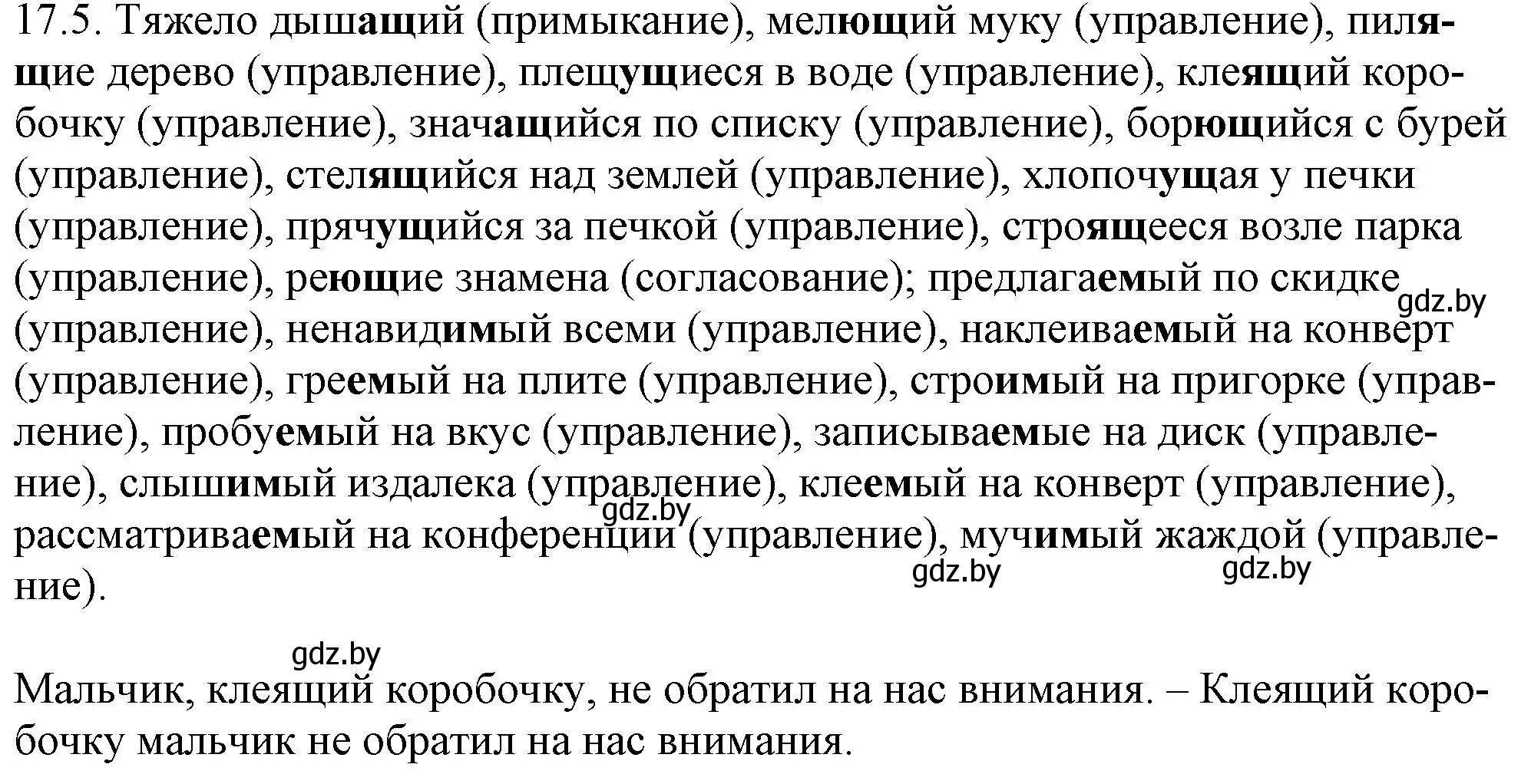 Решение номер 17.5 (страница 105) гдз по русскому языку 11 класс Долбик, Литвинко, учебник