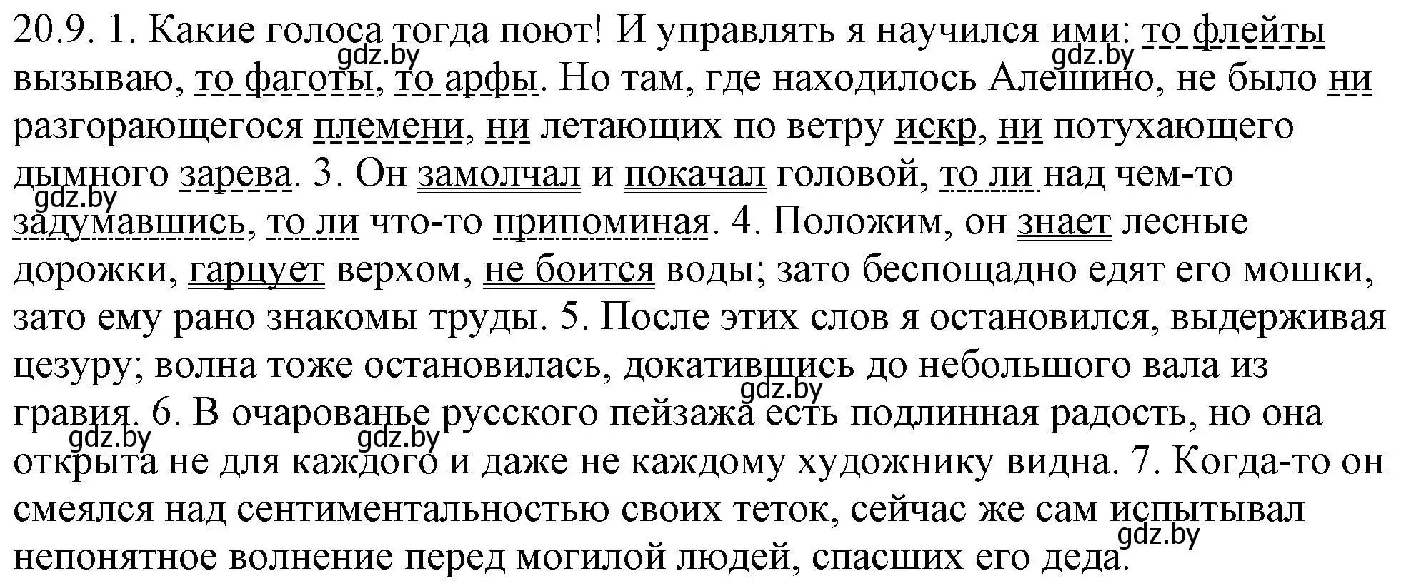 Решение номер 20.9 (страница 134) гдз по русскому языку 11 класс Долбик, Литвинко, учебник