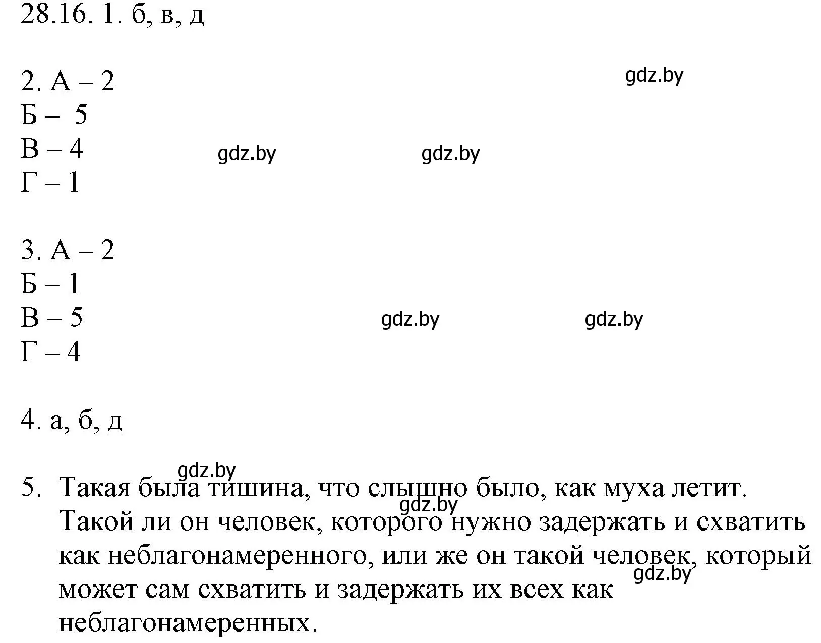 Решение номер 28.16 (страница 202) гдз по русскому языку 11 класс Долбик, Литвинко, учебник