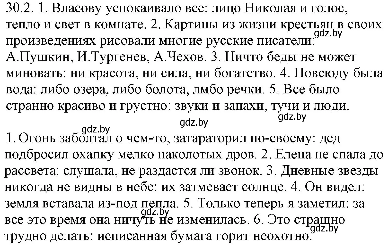 Решение номер 30.2 (страница 209) гдз по русскому языку 11 класс Долбик, Литвинко, учебник