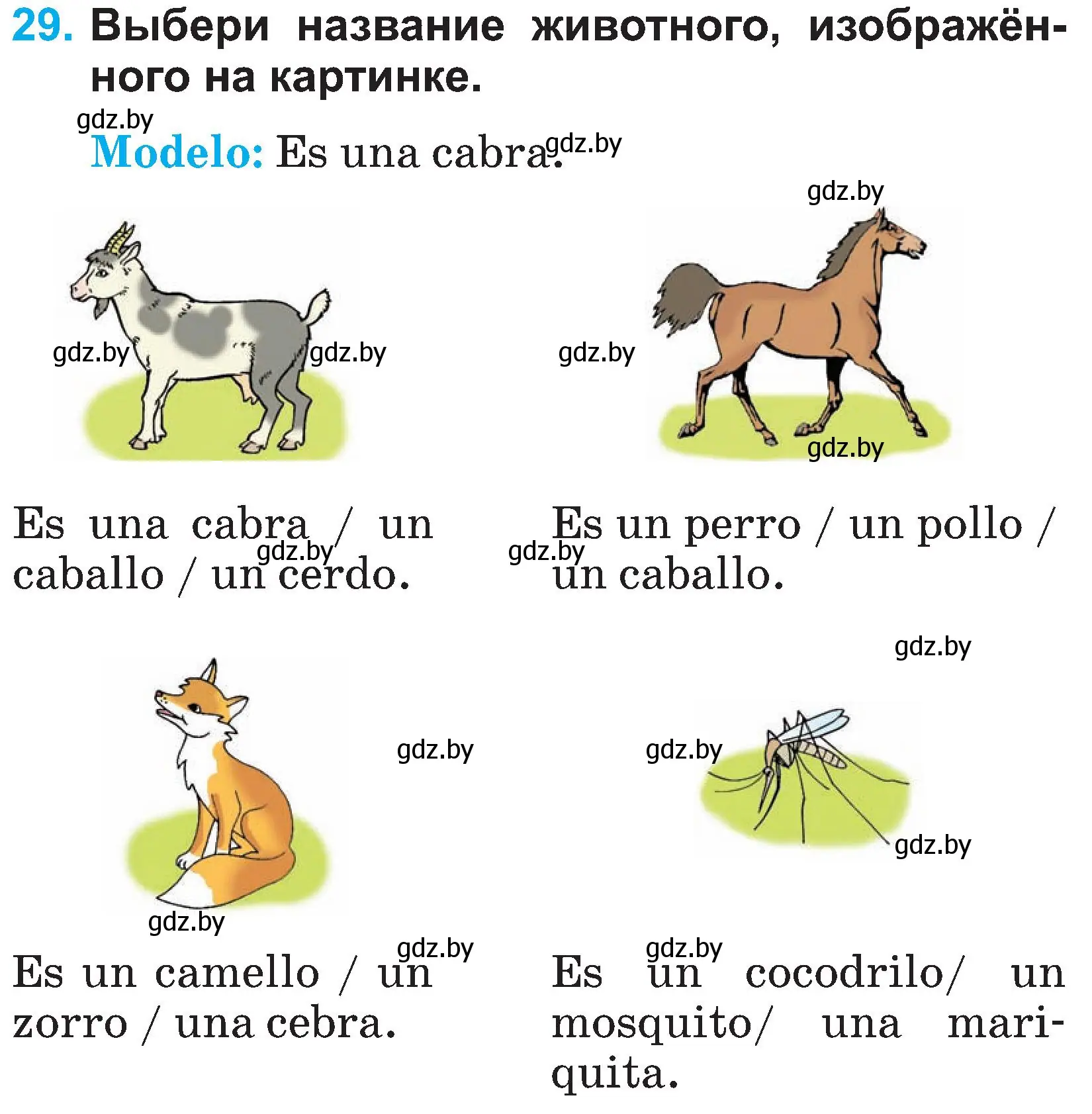 Условие номер 29 (страница 19) гдз по испанскому языку 3 класс Гриневич, Пониматко, учебник 1 часть