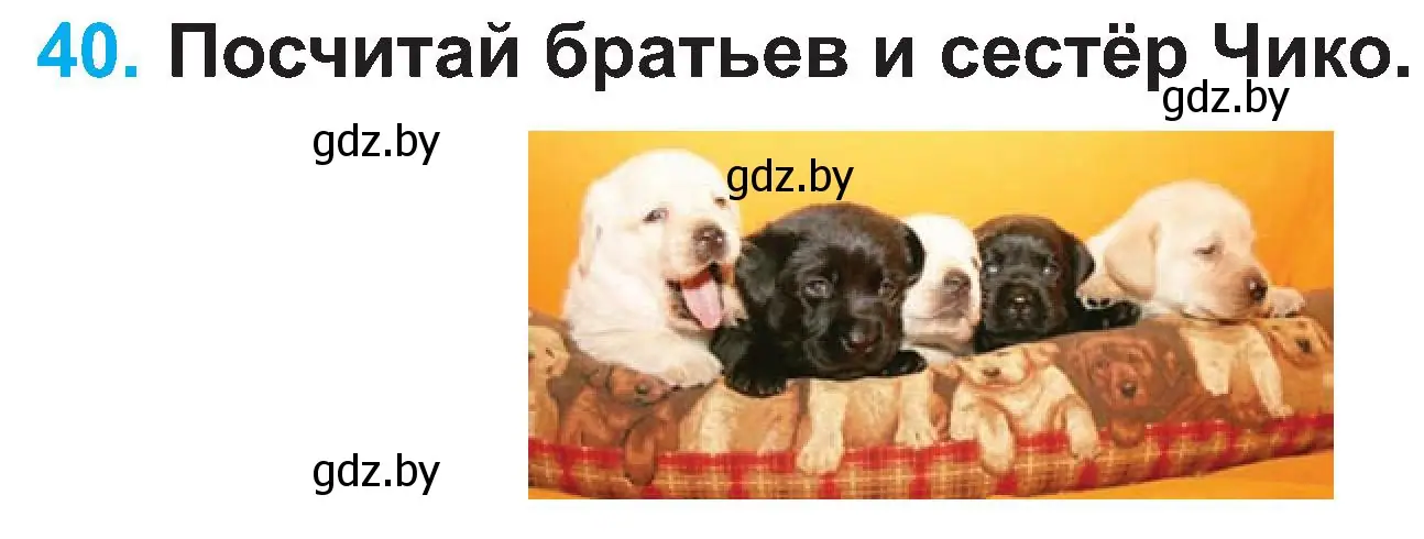 Условие номер 40 (страница 23) гдз по испанскому языку 3 класс Гриневич, Пониматко, учебник 1 часть