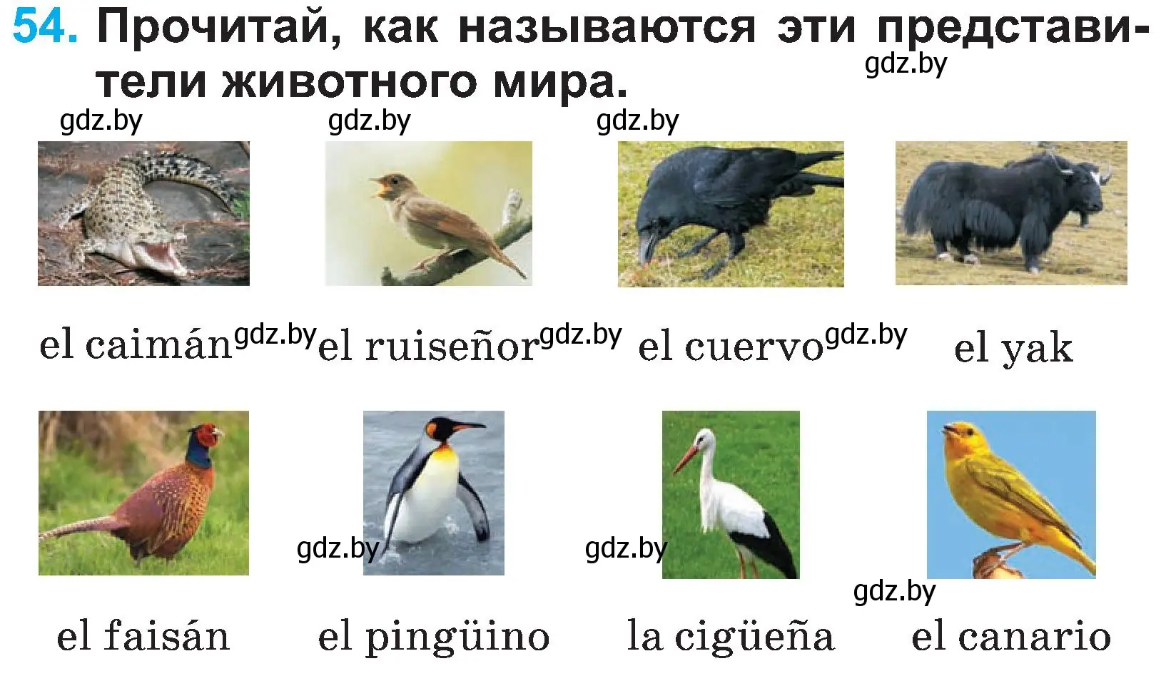 Условие номер 54 (страница 28) гдз по испанскому языку 3 класс Гриневич, Пониматко, учебник 1 часть