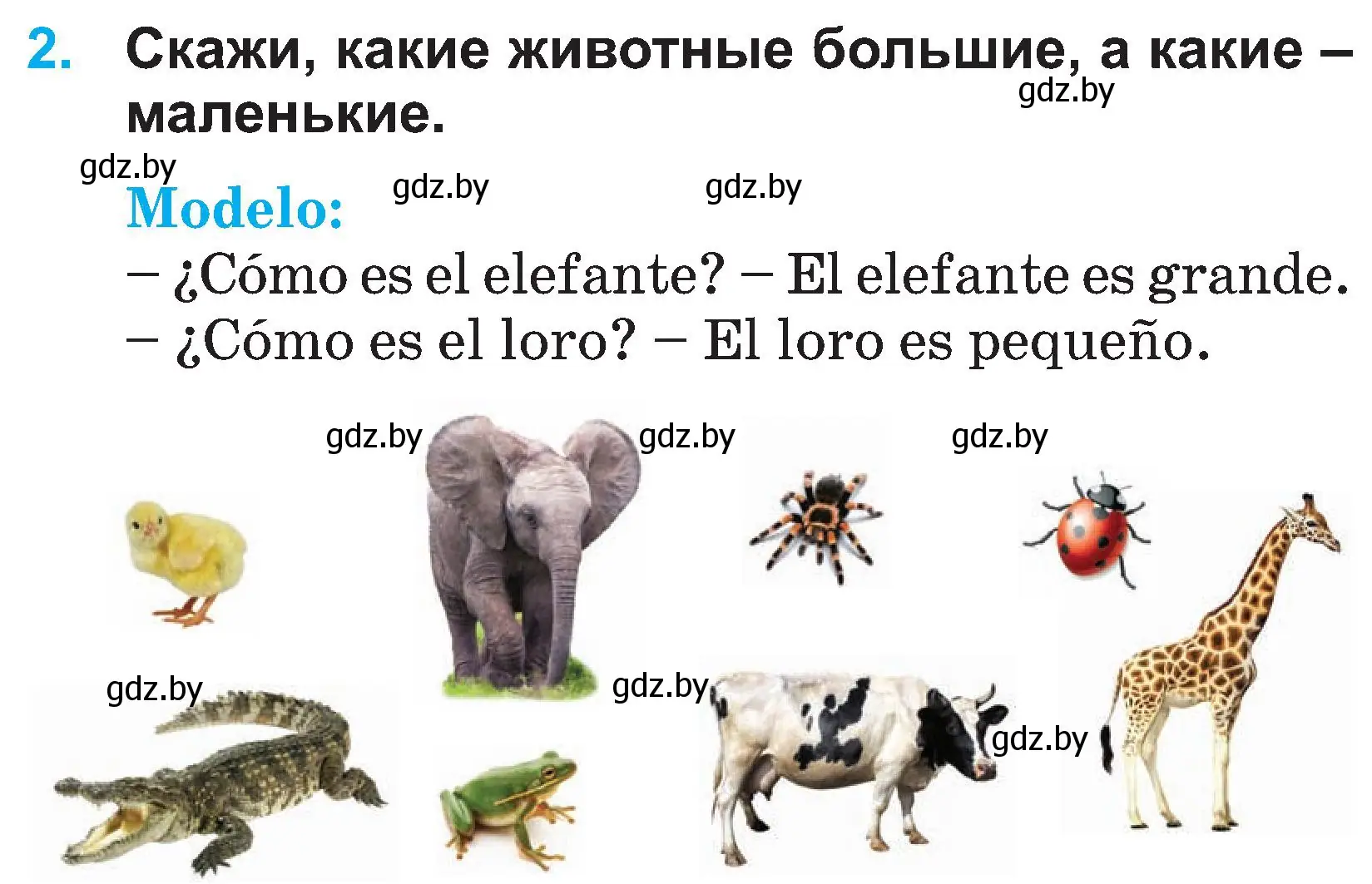 Условие номер 2 (страница 30) гдз по испанскому языку 3 класс Гриневич, Пониматко, учебник 1 часть