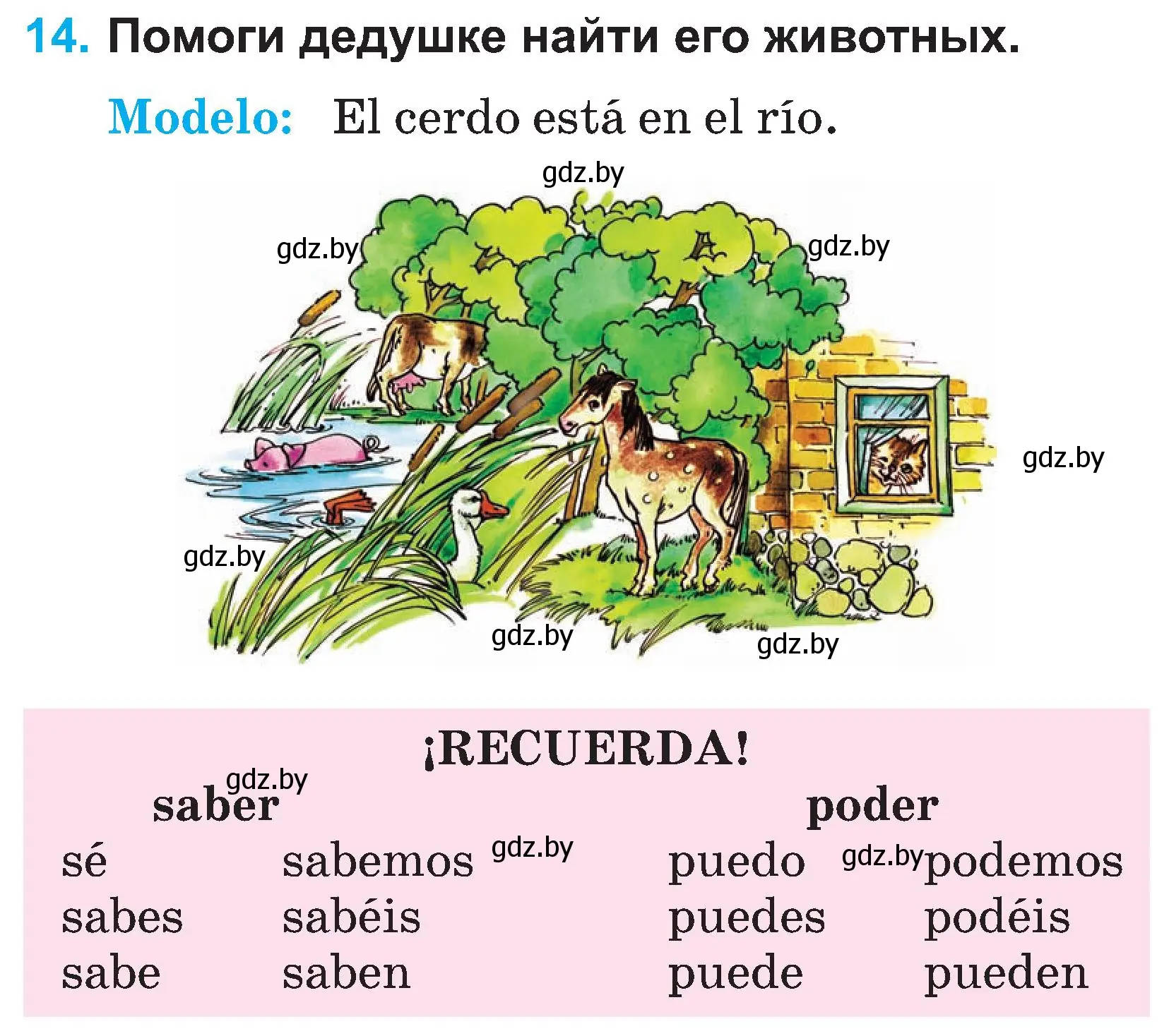 Условие номер 14 (страница 49) гдз по испанскому языку 3 класс Гриневич, Пониматко, учебник 1 часть