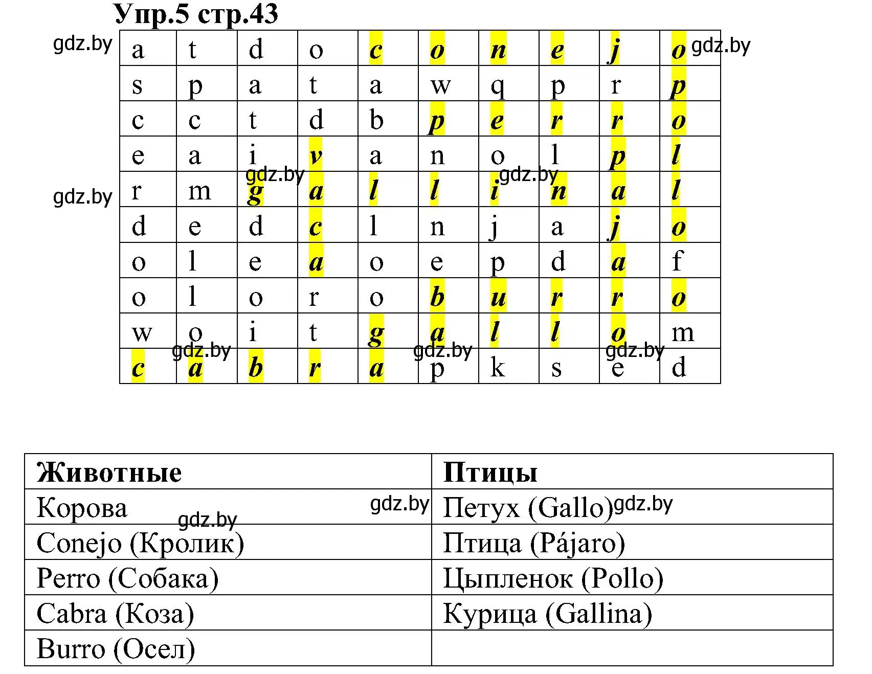 Решение номер 5 (страница 43) гдз по испанскому языку 3 класс Гриневич, Пониматко, учебник 1 часть