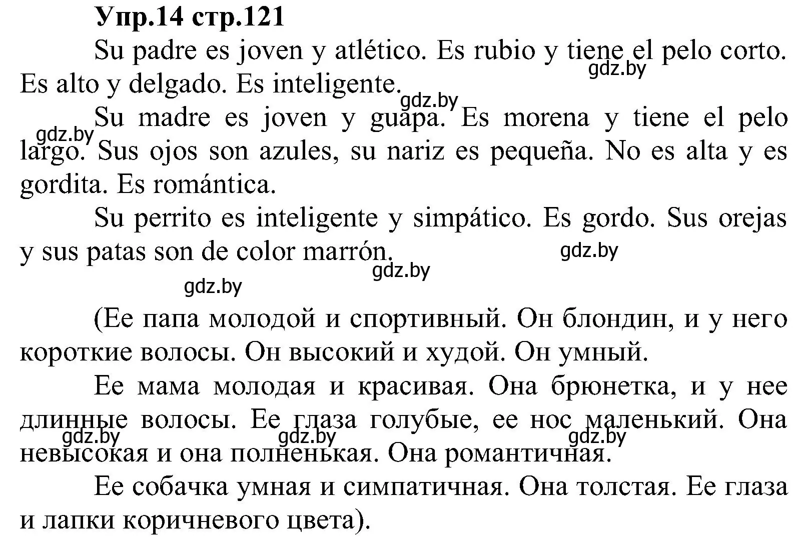 Решение номер 14 (страница 121) гдз по испанскому языку 3 класс Гриневич, Пониматко, учебник 1 часть