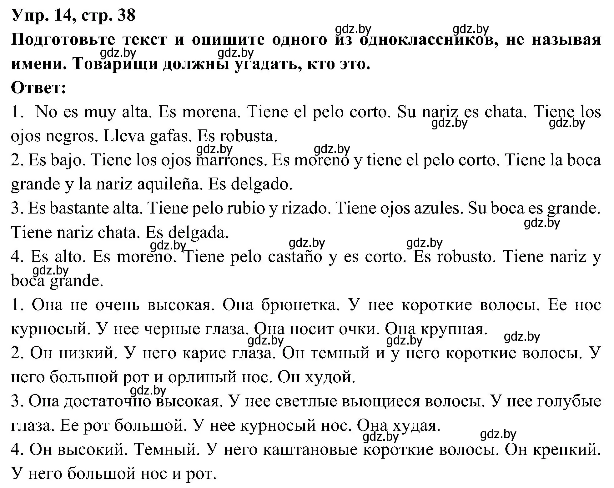 Решение номер 14 (страница 38) гдз по испанскому языку 4 класс Гриневич, Бахар, учебник 1 часть