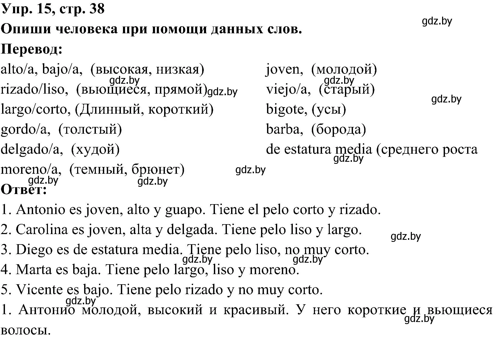 Решение номер 15 (страница 38) гдз по испанскому языку 4 класс Гриневич, Бахар, учебник 1 часть