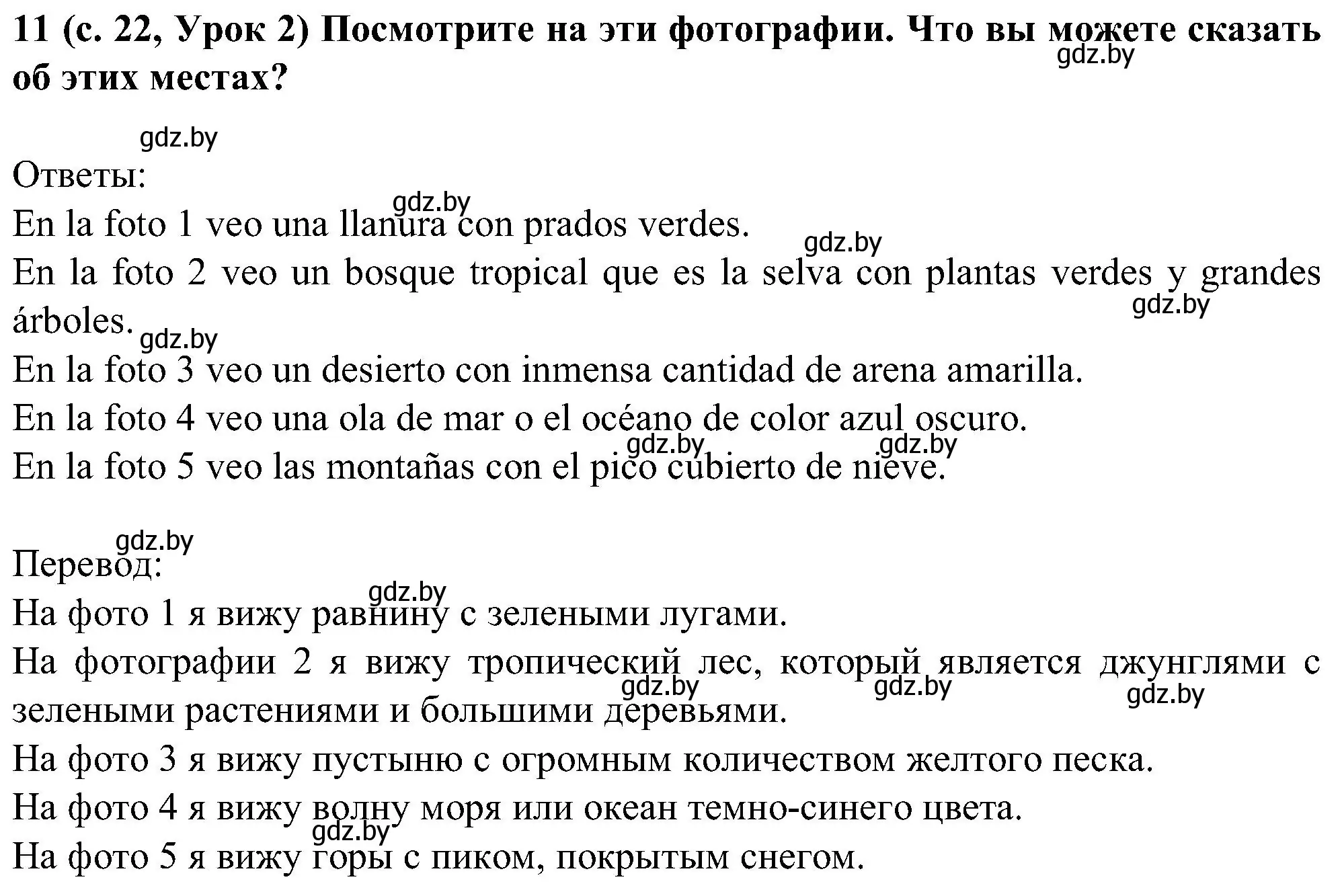 Решение номер 11 (страница 22) гдз по испанскому языку 5 класс Цыбулева, Пушкина, учебник 1 часть