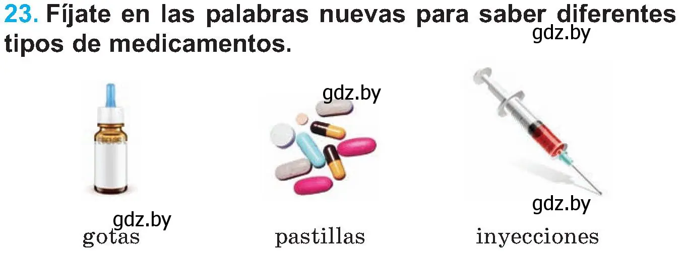 Условие номер 23 (страница 64) гдз по испанскому языку 5 класс Гриневич, учебник 2 часть