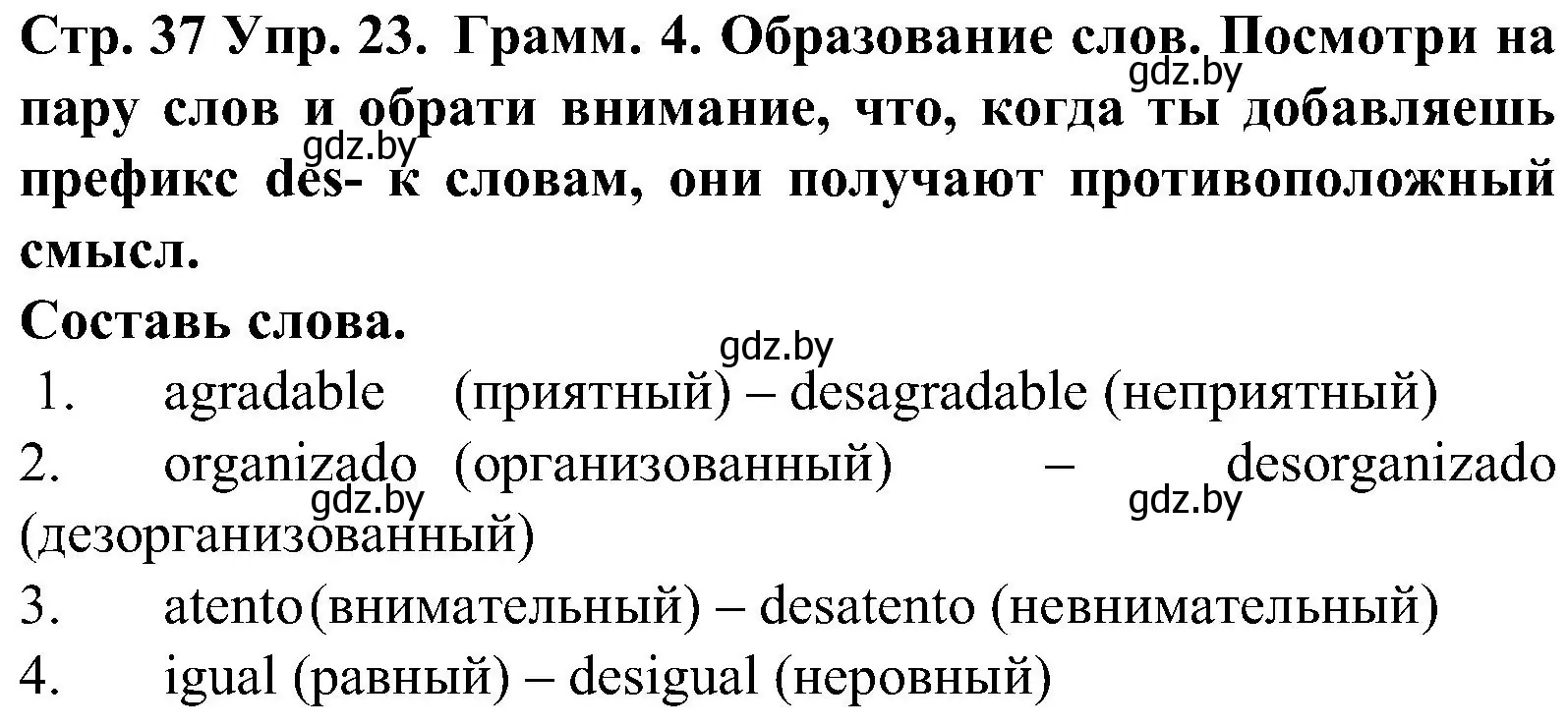 Решение номер 23 (страница 37) гдз по испанскому языку 5 класс Гриневич, учебник 1 часть