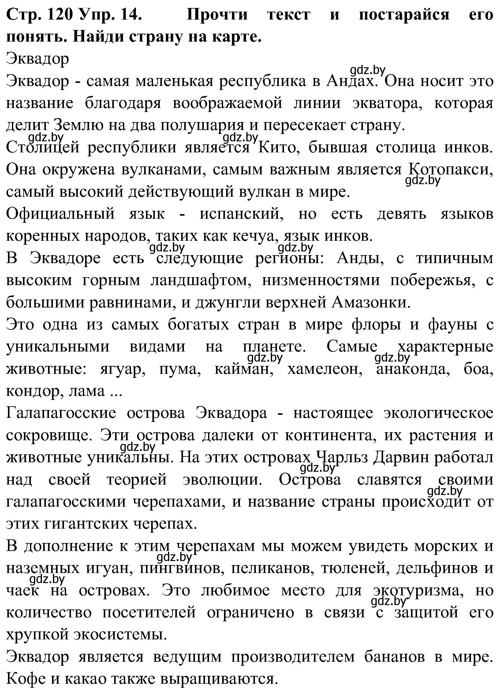 Решение номер 14 (страница 120) гдз по испанскому языку 5 класс Гриневич, учебник 1 часть