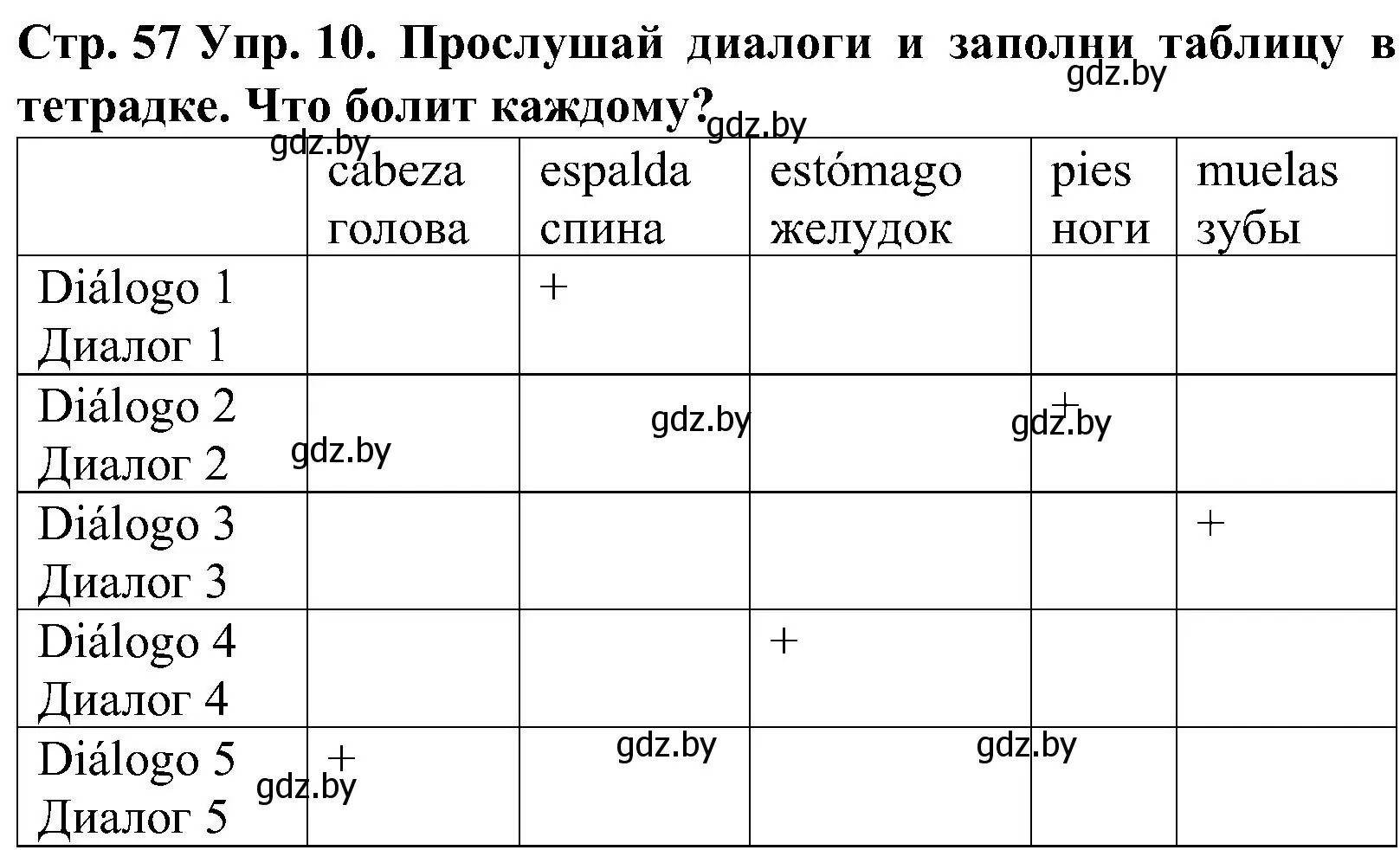 Решение номер 10 (страница 57) гдз по испанскому языку 5 класс Гриневич, учебник 2 часть