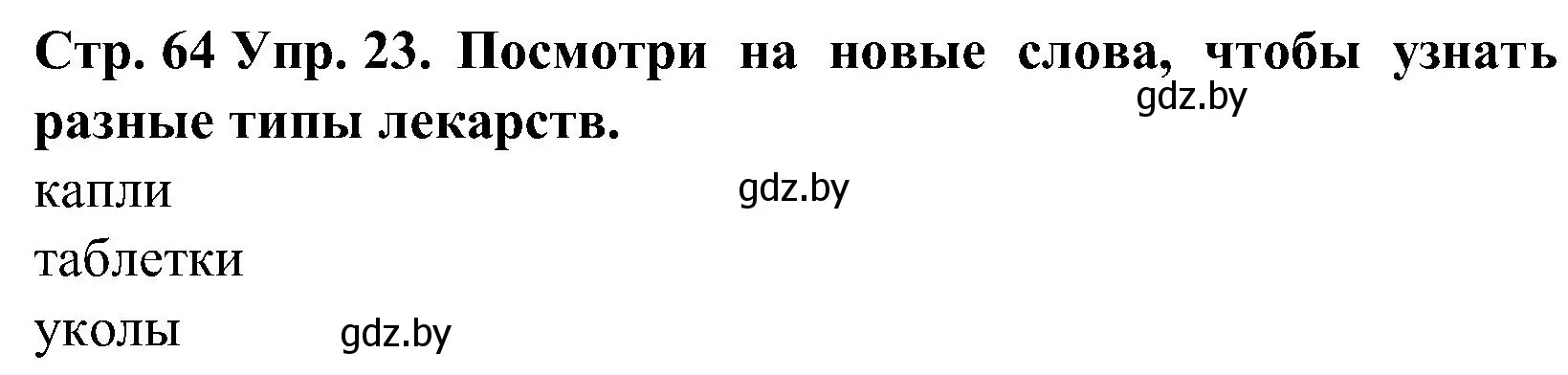 Решение номер 23 (страница 64) гдз по испанскому языку 5 класс Гриневич, учебник 2 часть