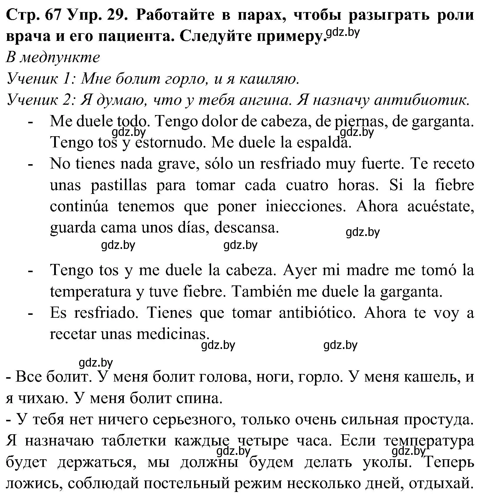 Решение номер 29 (страница 67) гдз по испанскому языку 5 класс Гриневич, учебник 2 часть