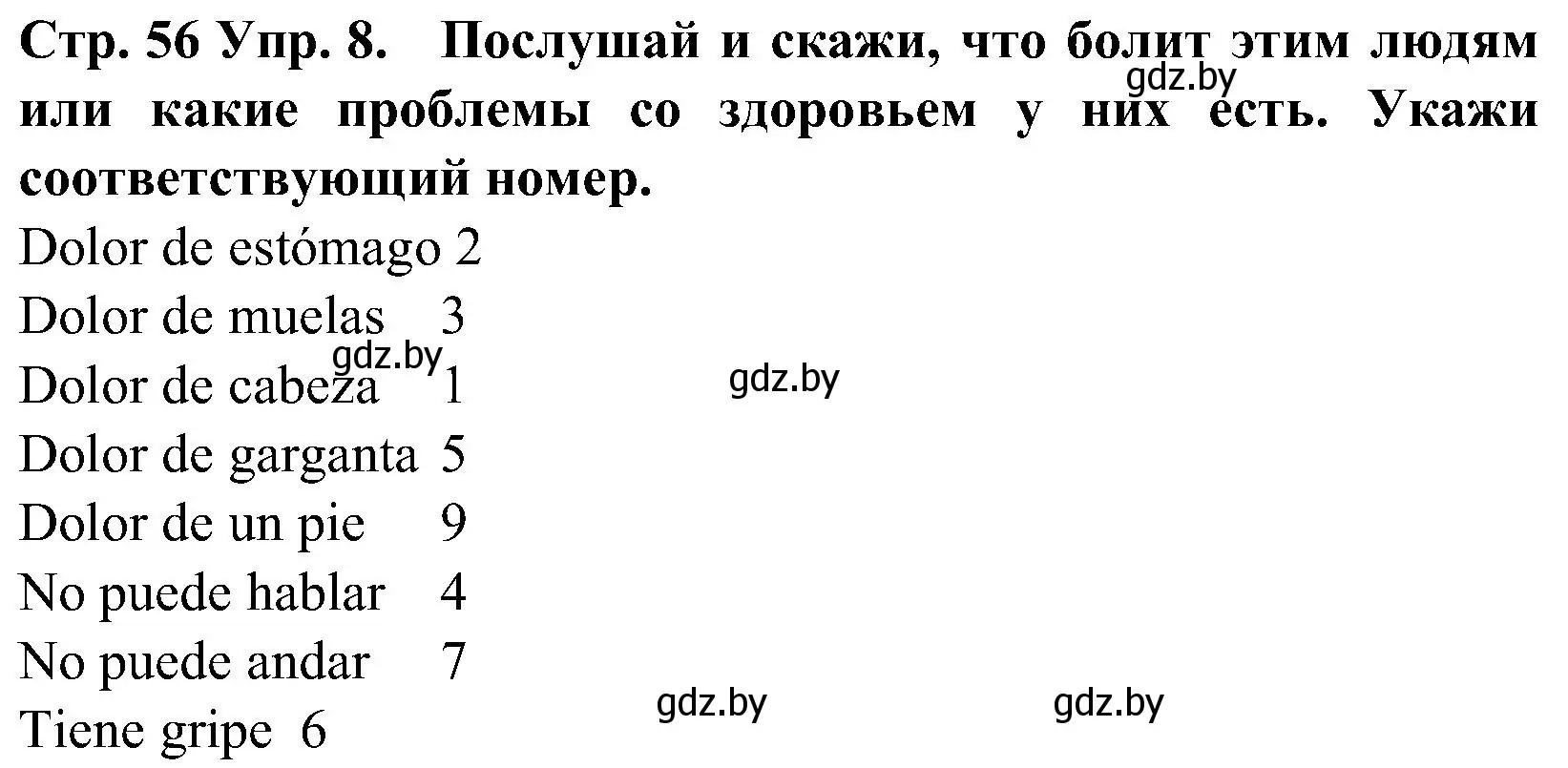 Решение номер 8 (страница 56) гдз по испанскому языку 5 класс Гриневич, учебник 2 часть