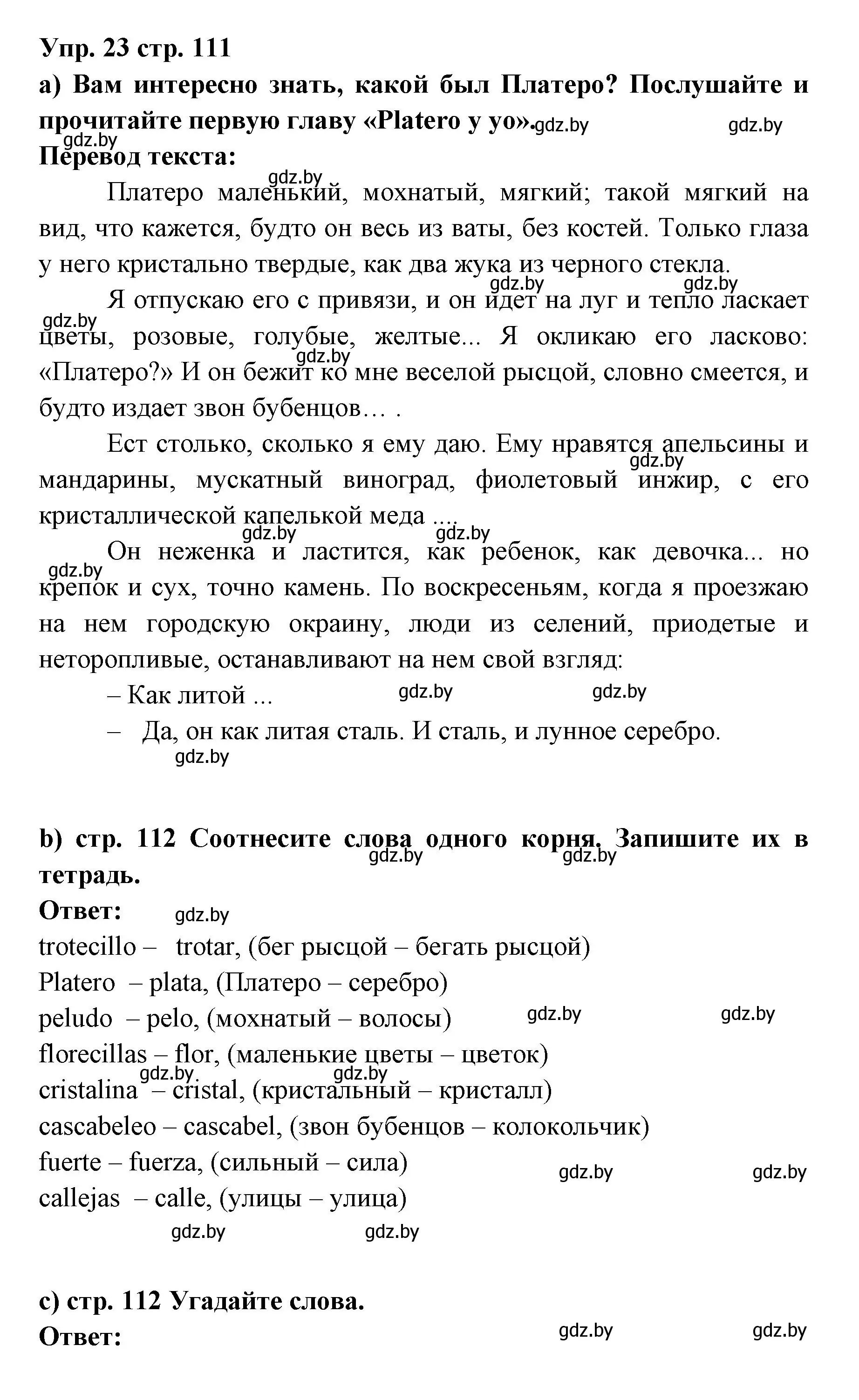 Решение номер 23 (страница 111) гдз по испанскому языку 6 класс Цыбулева, Пушкина, учебник 1 часть