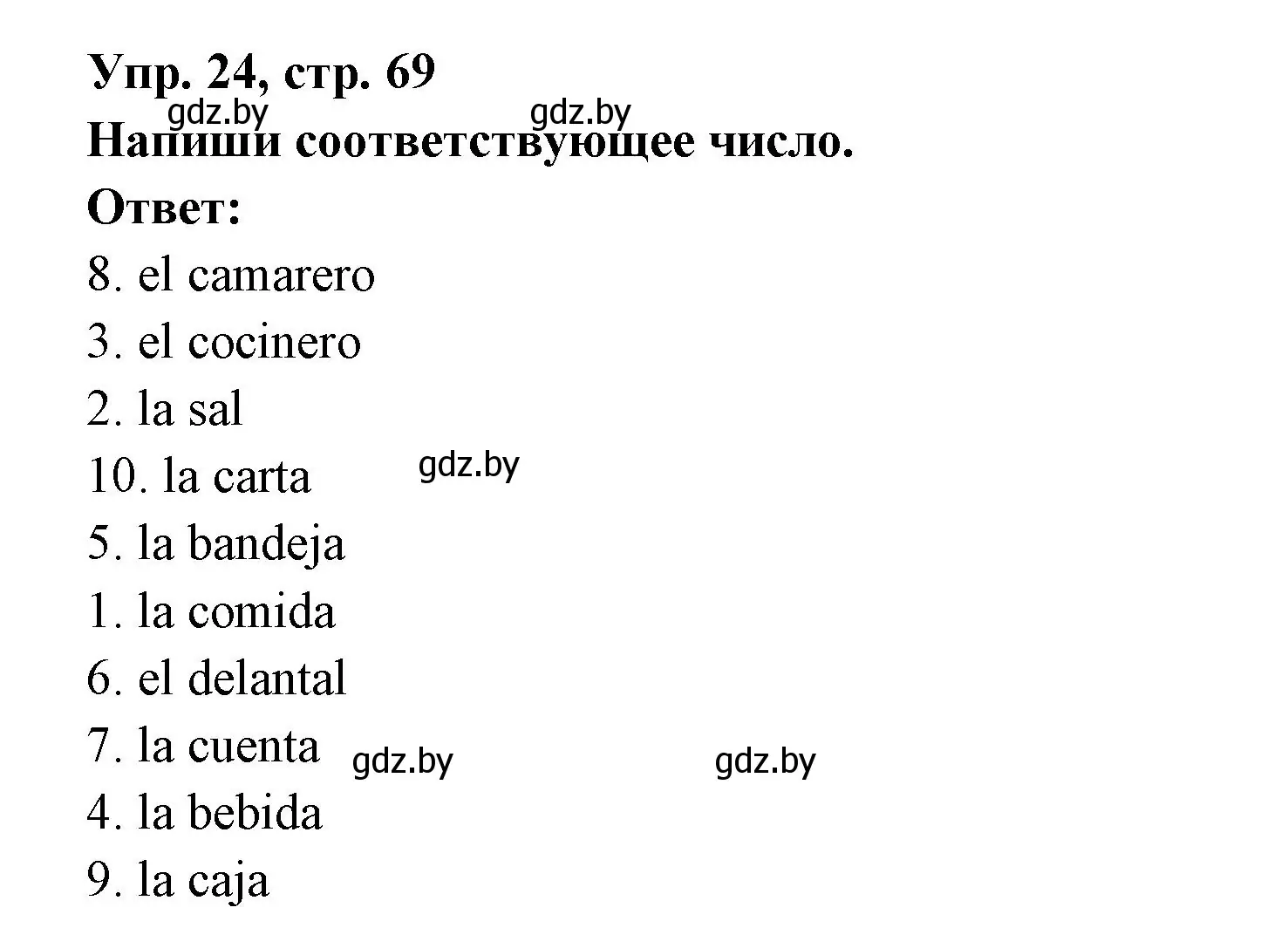 Решение номер 24 (страница 69) гдз по испанскому языку 6 класс Гриневич, Пушкина, рабочая тетрадь