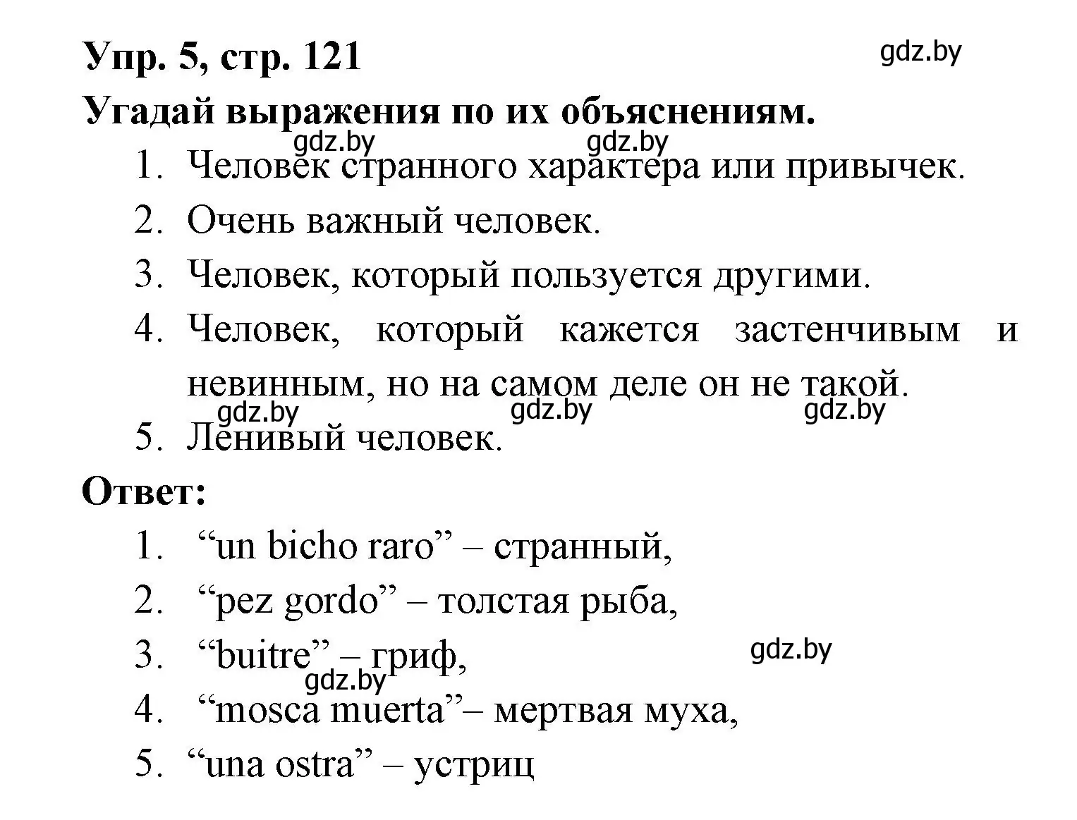 Решение номер 5 (страница 121) гдз по испанскому языку 6 класс Гриневич, Пушкина, рабочая тетрадь