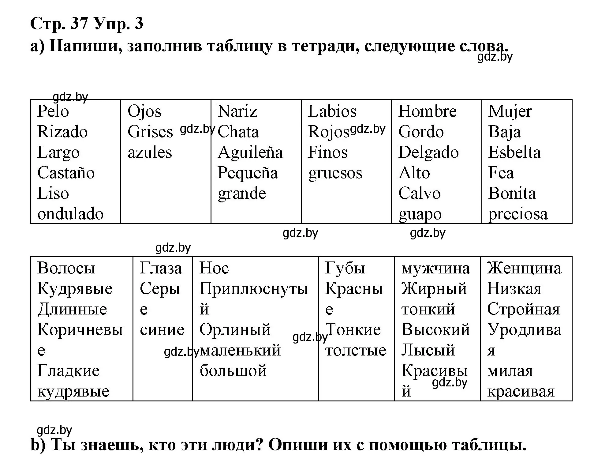 Решение номер 3 (страница 37) гдз по испанскому языку 7 класс Цыбулева, Пушкина, учебник 1 часть