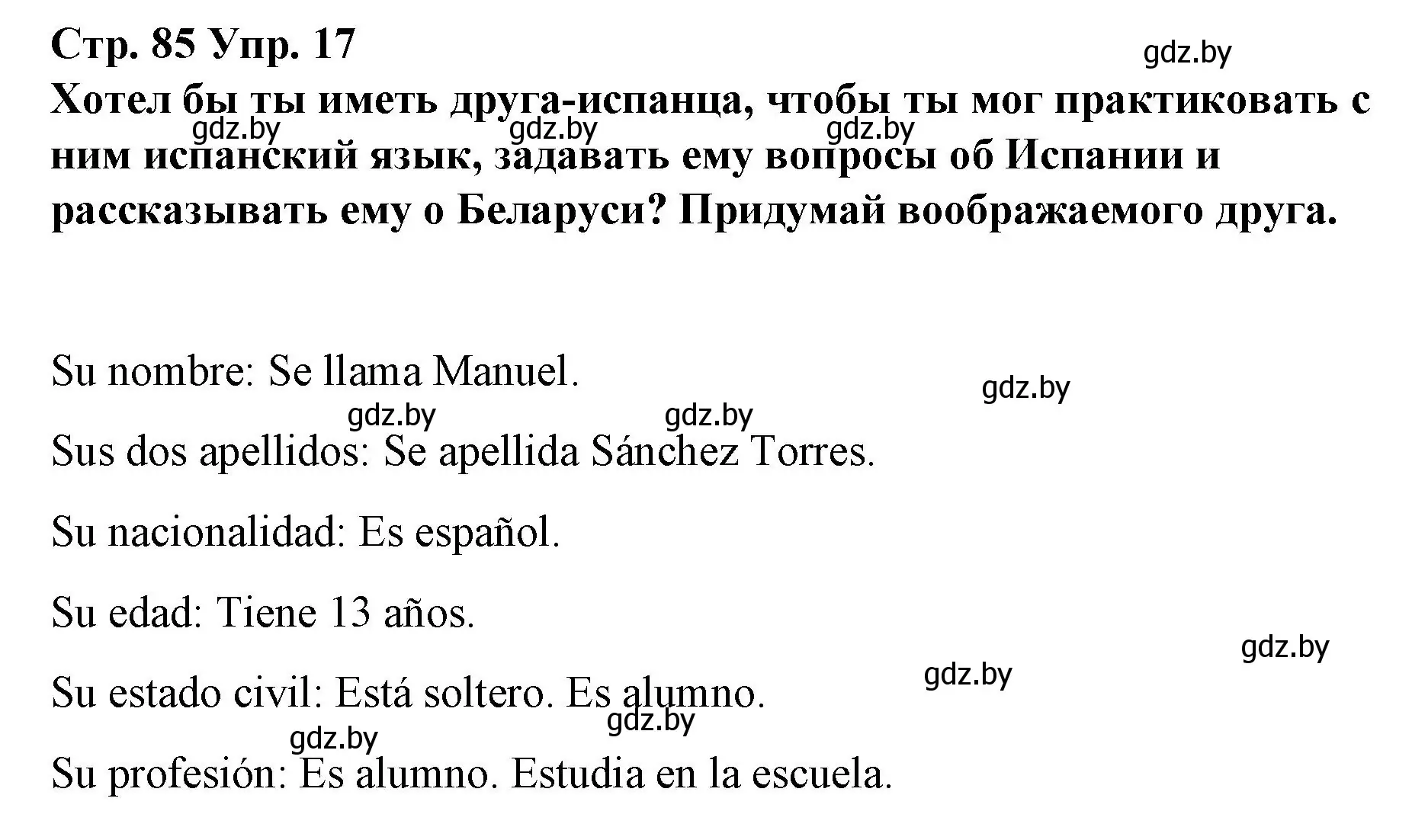 Решение номер 17 (страница 85) гдз по испанскому языку 7 класс Цыбулева, Пушкина, учебник 1 часть