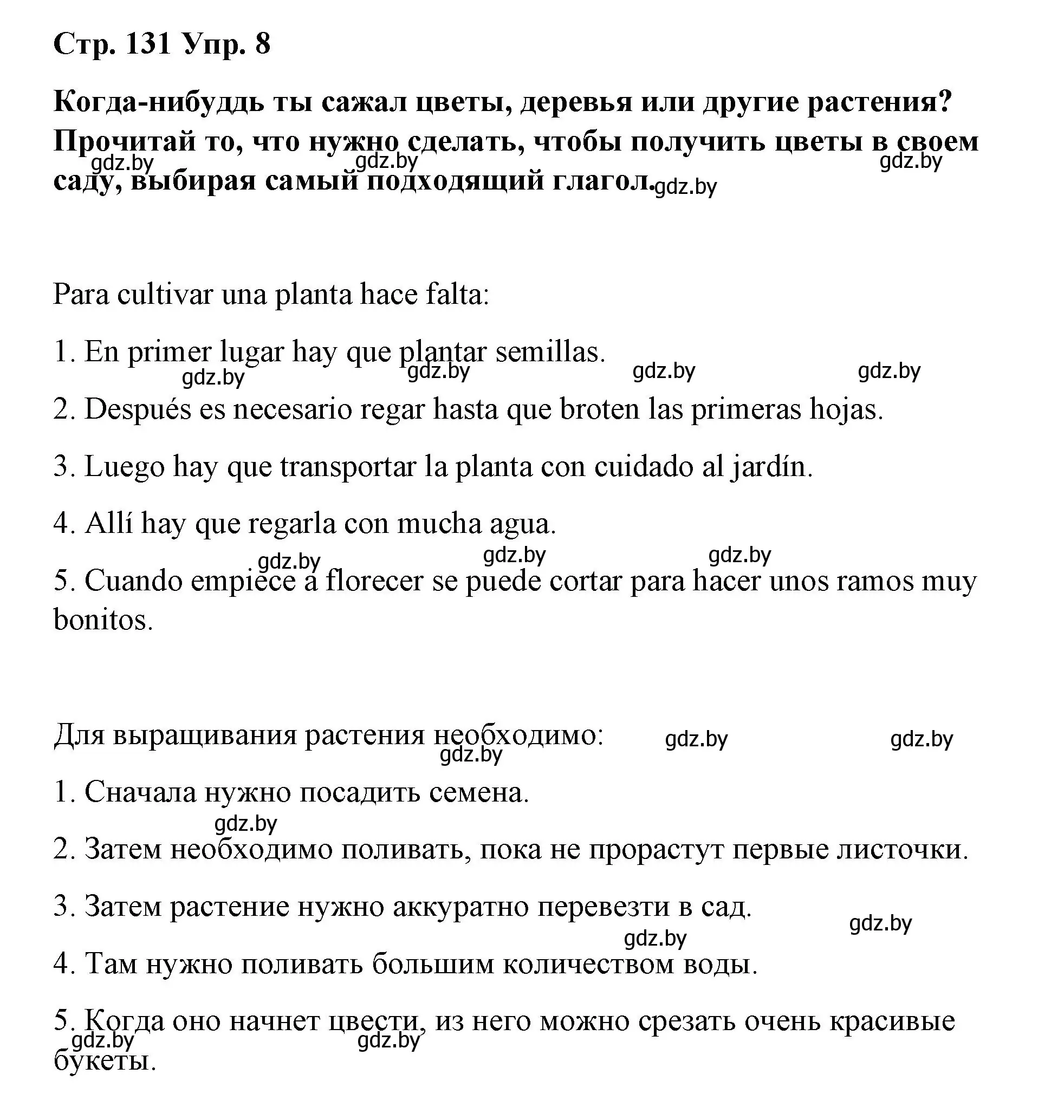 Решение номер 8 (страница 131) гдз по испанскому языку 7 класс Цыбулева, Пушкина, учебник 2 часть