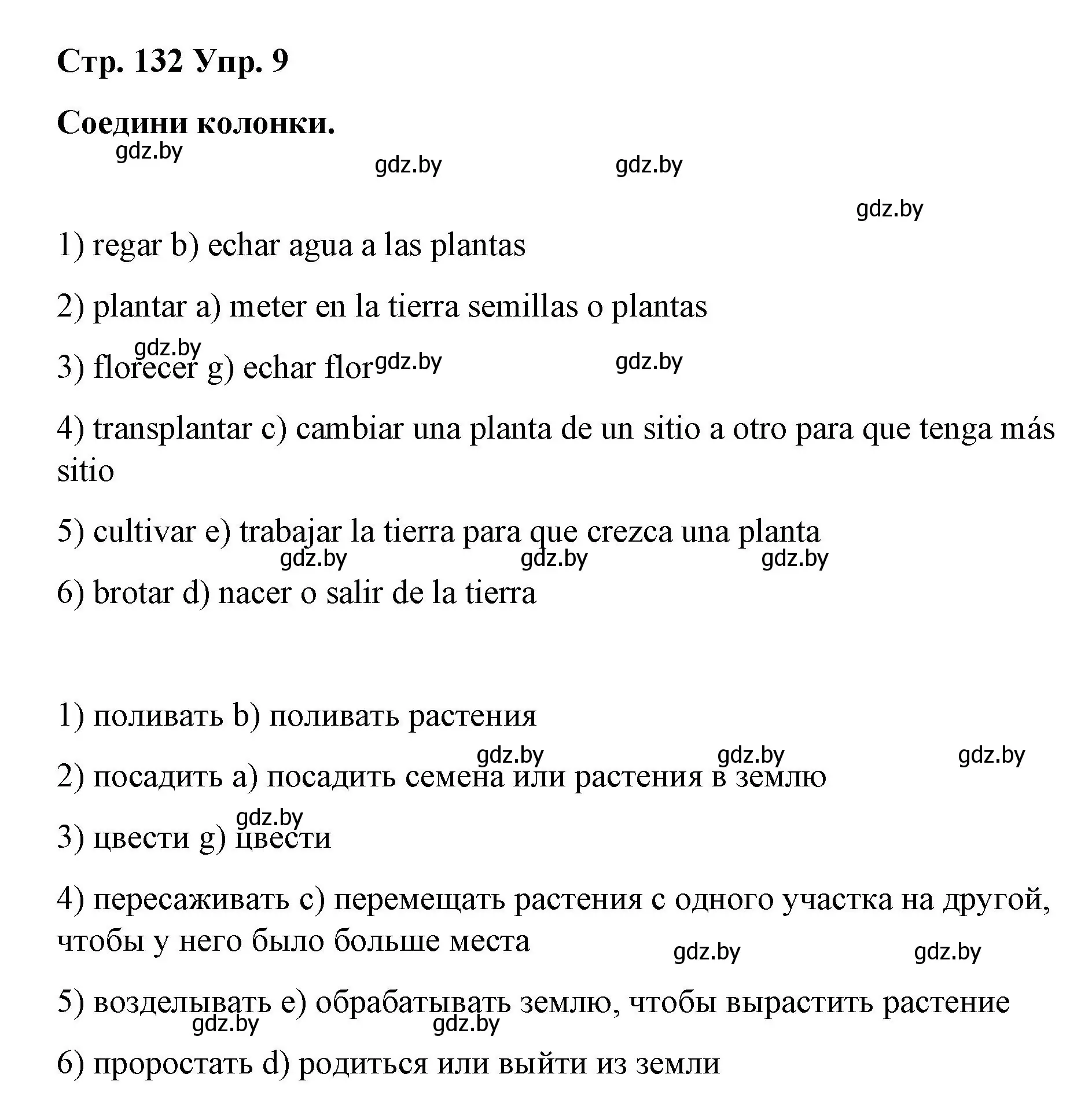 Решение номер 9 (страница 132) гдз по испанскому языку 7 класс Цыбулева, Пушкина, учебник 2 часть