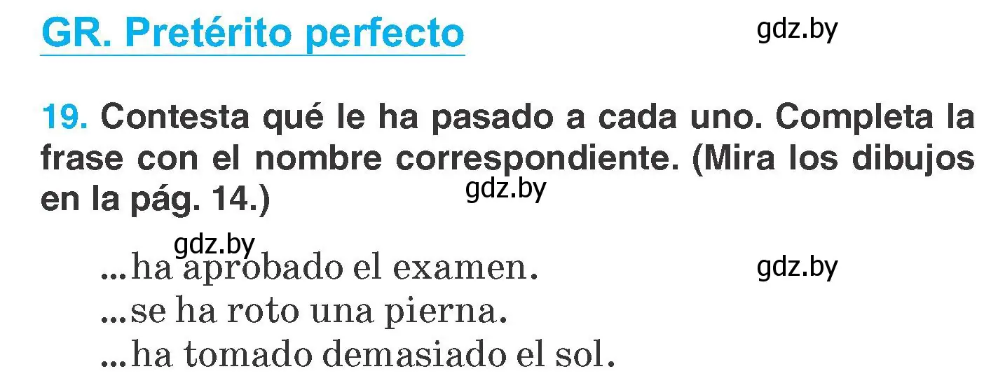 Условие номер 19 (страница 13) гдз по испанскому языку 7 класс Гриневич, учебник