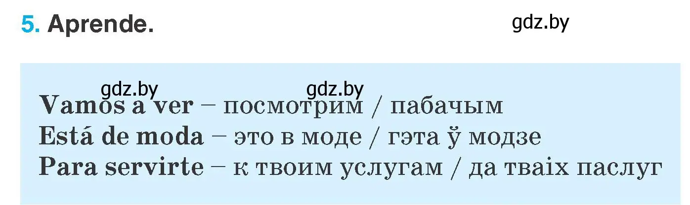 Условие номер 5 (страница 209) гдз по испанскому языку 7 класс Гриневич, учебник