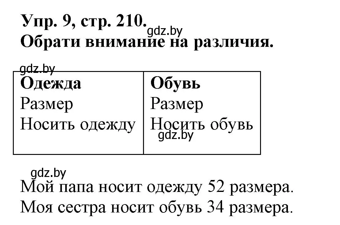 Решение номер 9 (страница 210) гдз по испанскому языку 7 класс Гриневич, учебник