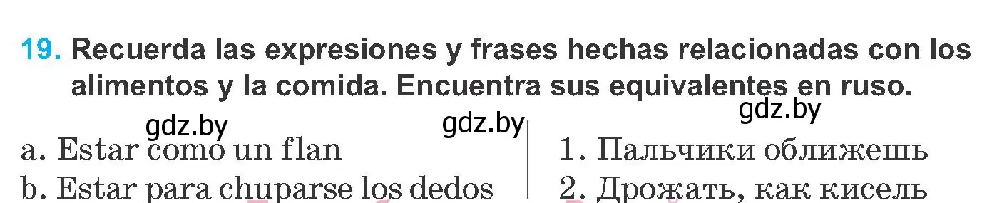 Условие номер 19 (страница 23) гдз по испанскому языку 8 класс Гриневич, учебник