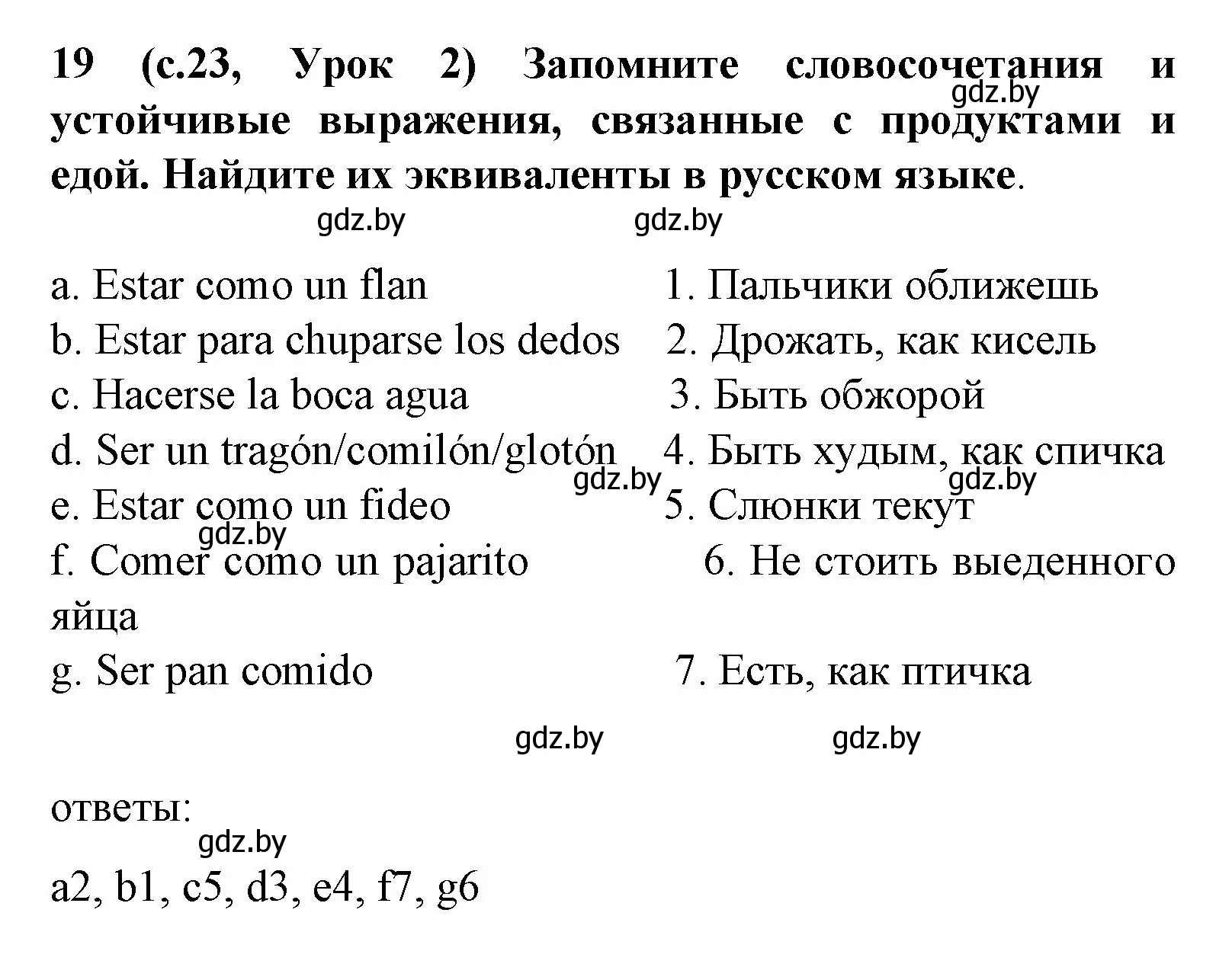 Решение номер 19 (страница 23) гдз по испанскому языку 8 класс Гриневич, учебник