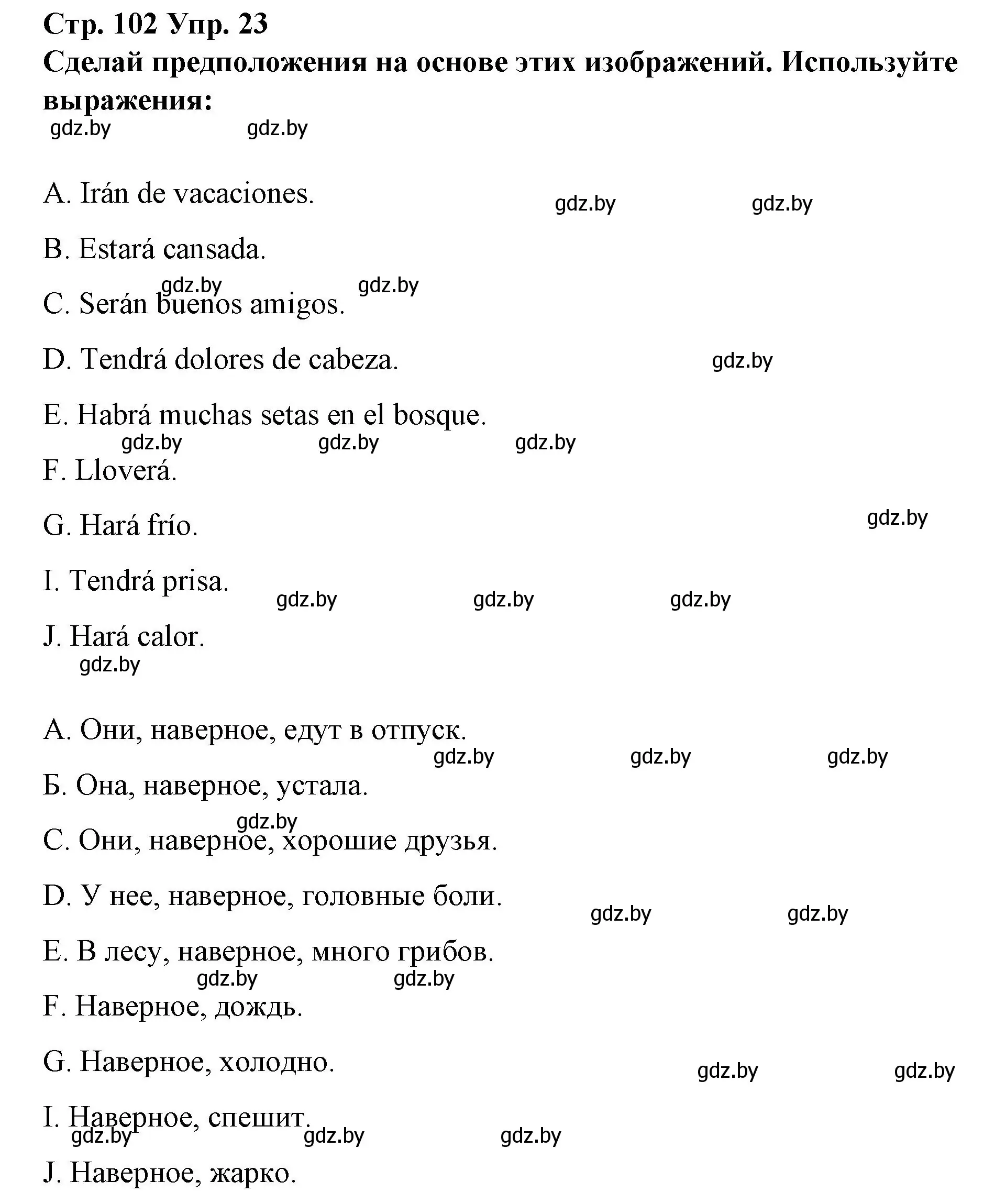 Решение номер 23 (страница 102) гдз по испанскому языку 10 класс Гриневич, Янукенас, учебник